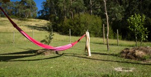 Double Hammock