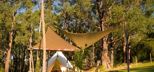 Bell Tent with hammock